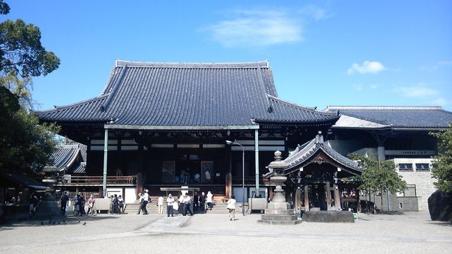 坂松山高岳院一心寺参拝に