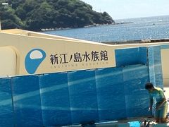 水族館　イルカ　ショウ