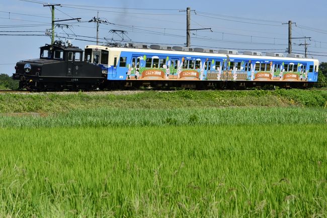 上信電鉄では8月19日(日)、8月26日(日)に電気機関車「デキ」が特別運行されて、どなたでも無料で乗車出来ます。この日本最古級の電気機関車であるデキ機関車に乗って、上州の旅を満喫してきました。