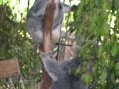 自然＆カジノ三昧の新婚旅行２日目