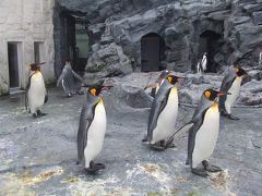 2008久々の北海道遠征【その１】札幌経由で旭山動物園へ