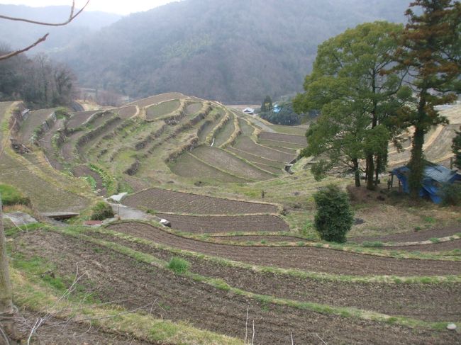 鳴門→高松→小豆島（池田港）→中山→醤油工場→岬の分教場→二十四の瞳映画村→宿<br />宿→治水ダム建設現場→寒霞渓→オリーブ園→草壁港→高松→鳴門<br /><br /><br />島原の乱で灰燼に帰した島原半島へ<br />小豆島から，幕府の命で移住する<br />その先祖が，その昔，暮らした里が<br />ここ中山だと言う<br /><br />３５０年前，彼女の先祖が暮らした地に，はじめて来る<br />○○家の子孫は，もうこの地にはいない<br />寄せ墓に詣でる<br />墓と遺された家が往時を偲ばせる<br /><br />そして，移民した地もこの風土に似ていると言う<br />長崎県北有馬町<br /><br />降雨の少ない<br />瀬戸内海気候の中で<br />素麺を作った<br />この段々畑には，集水の工夫がある<br />それが，そのまま島原に渡り<br />島原素麺となった<br /><br />