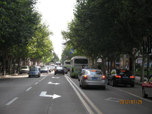 上海ではプラタナスの事をフランス青桐と言うそうです。フランス租界を中心に市内各所に見られます。これはフランス租界が出来た頃に植えられたのでは無いでしょうか？上海市では「並木トンネル２０選」を初認定したそうです。ただ美しいだけでなく<br />１、歩道と車道を合わせた部分の緑のカバー率が、９０％以上。<br />２、車道部分だけのカバー率が６０％以上。<br />３、通りの長さが５００ｍ以上。<br />４、街路樹の植樹スペースが1.5Ｘ1.25ｍ以上。<br />５、植樹スペースと歩道が透水性材料で舗装。<br />６、並木の両側の樹木種などにばらつきがない。<br />なかなか厳しい条件ですね。<br />淮海中路を地下鉄黄陂南路駅から陜西南路駅まで南京東路と並ぶ繁華街を歩きます。新天地に近い馬当路、淡水路、重慶南路、雁蕩路、成都南路、思南路、瑞金二路、茂名南路、陜西南路までフランス租界時代の中心で高級アパートが建ち並んでいました。流行の最先端を行く淮海中路、見どころ満載の並木道です。<br /><br />