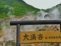 箱根-1  大涌谷、冠ヶ岳と噴煙地を眺めて歩く　☆黒玉子をみやげに