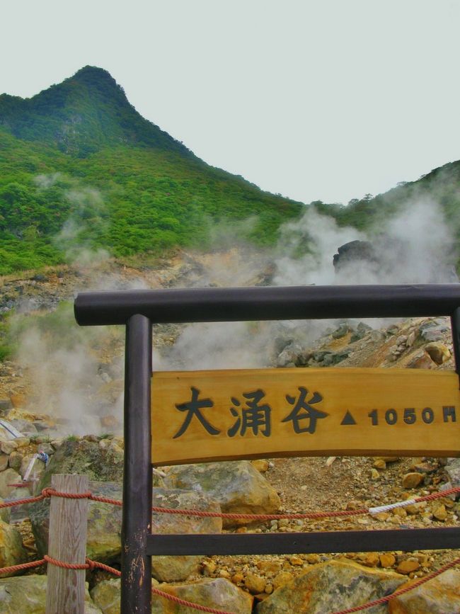 大涌谷（おおわくだに）は、神奈川県箱根町にある箱根火山の噴煙地。整備され観光できるようになっている。<br /><br />大涌谷は二回の過程を経て形成された。約3100年前、箱根火山で水蒸気爆発による山崩れが発生し、堆積物が貯まった。さらに約2900年前に小規模な火砕流が発生、冠ヶ岳ができ、また火山砕屑物が積もった。この火山砕屑物と山崩れによる堆積物の間が現在の大涌谷となっている。 <br /><br />大涌谷観光センターが整備され、観光用に噴煙や硫黄を見ることが出来るようになっている。ただし、硫黄の採取は原則として禁止されており、火山ガス（亜硫酸ガス、硫化水素ガス）が噴出しているため健康上の注意が必要である。<br /><br />地熱を利用して作られたゆで卵が販売されている。当地で湧いている温泉に含まれる硫黄と鉄分が結びつき黒い硫化鉄となり卵の殻に付着して、黒く変色していることから黒玉子と呼ばれる。黒玉子は1個食べると7年寿命が延びるというふれこみで、軽食・土産として人気がある。<br />（フリー百科事典『ウィキペディア（Wikipedia）』より引用）<br /><br />大涌谷については・・<br />http://www.owakudani.com/<br />