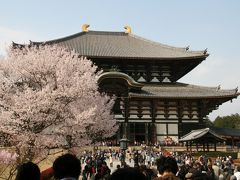桜の季節、奈良へ（１日目）