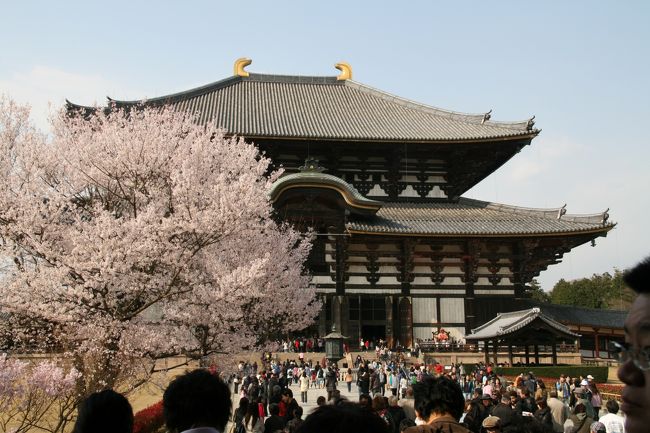 桜が咲く季節に合わせ奈良を訪れました。<br /><br />※過去に自分のホームページに掲載していたものの転載です。文面も当時のままですので、古い情報があるかもしれませんが、ご了承ください。