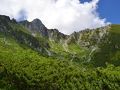千畳敷カールお花畑を満喫、そして中岳登山
