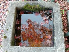 ～旅風に誘われて45～　国東半島｢紅葉」寺散策