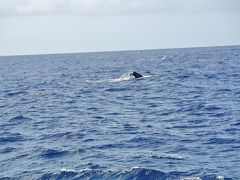 今度は母娘でオアフ島～２日目