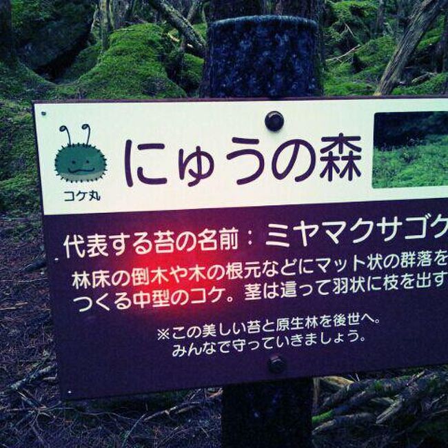 登山上級者のYくんの先導の元、4人パーティーで、北八ヶ岳の天狗岳を登ってきました。<br />(本当は、富士山の予定だったのだけど、日程が調整できず断念。)<br /><br />軽い気持ちで、計画したものですが、調べれば、調べるほど初心者が行くようなところではないような気がしたんですが…<br />登山上級者Yくんのおすすめ&計画ですから、きっと大丈夫。