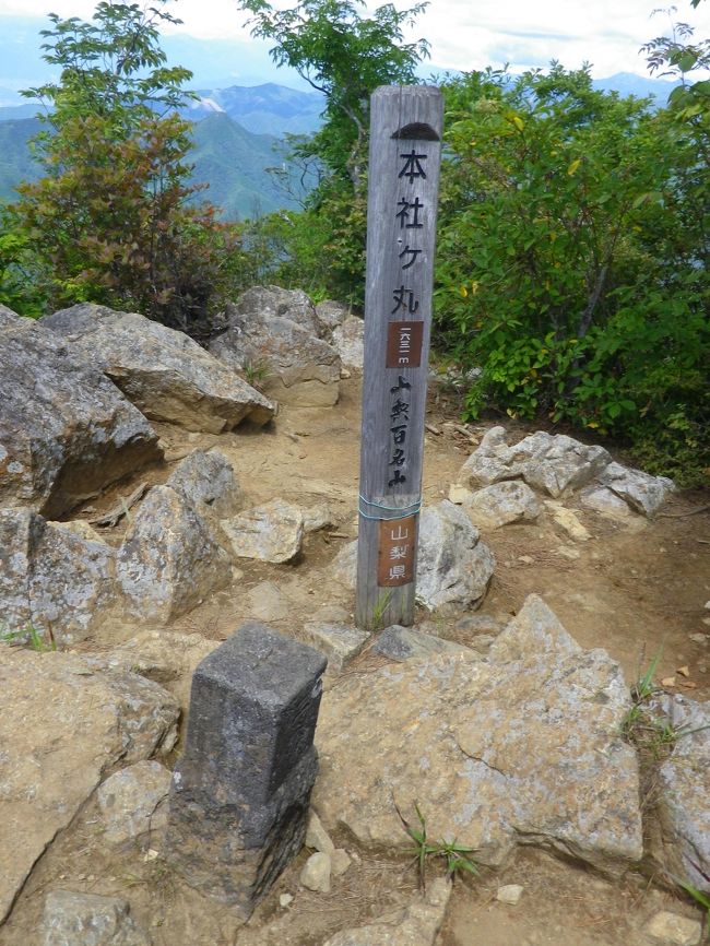 富士急行河口湖駅よりタクシー利用で三ツ峠登山口へ、そこから林道を歩いて大幡八丁峠へ、歩き易い登山道を歩き清八山へ、さらに進み山梨100名山の本社ヶ丸頂上へ、昼食と休憩をとった後、鶴ヶ鳥屋山方面に歩いて途中から笹子駅方面に下山しました。<br /><br />今回のコースは山仲間と歩きました、途中では殆ど登山者と会いませんでした、多少暑かったですが、途中涼しい風が吹いたりして楽しく歩けました、河口湖出発時は富士山が見えましたが清八山到着時には殆ど見えなくなりました。<br /><br />仲間とは別に前日の27日に河口湖駅に近い河口湖YHに宿泊しましたので朝はゆっくり出発しました。