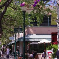 "drive-drove-driven”ワインカントリーからアウトレットまで250kmを突っ走れ＊2012夏　「け」と「キ」的ナパとサンノゼ　part4