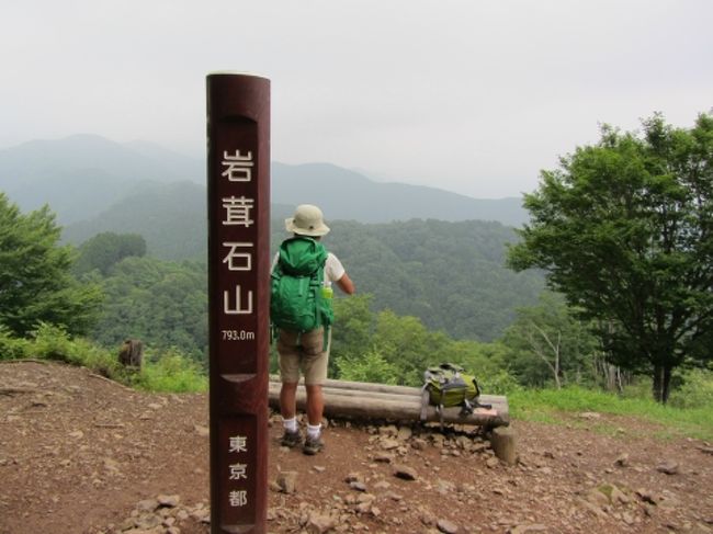 「高水三山」とは、高水山、岩茸石山、惣岳山の三つの山の総称。<br />このうち高水山、惣岳山には寺社があって信仰の山。<br />これらを尾根伝いにぐるっと周回するのが一般的なコース。<br />標高も全てが1000m以下で総歩行距離も10km以下なので、手軽なトレッキングコースとして親しまれているそうだ。<br /><br />そんな事前情報を持って、お気楽にスタートした我々だったが･･･