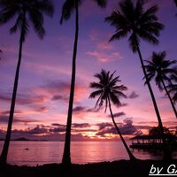 太平洋の島々へ行こう～ミクロネシア連邦トラック諸島、再び編～