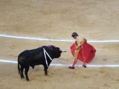 お祭りの闘牛　：　２０１２年スペイン現地UP（製作途中も公開）第１弾　アルカラ・デ・エナーレス