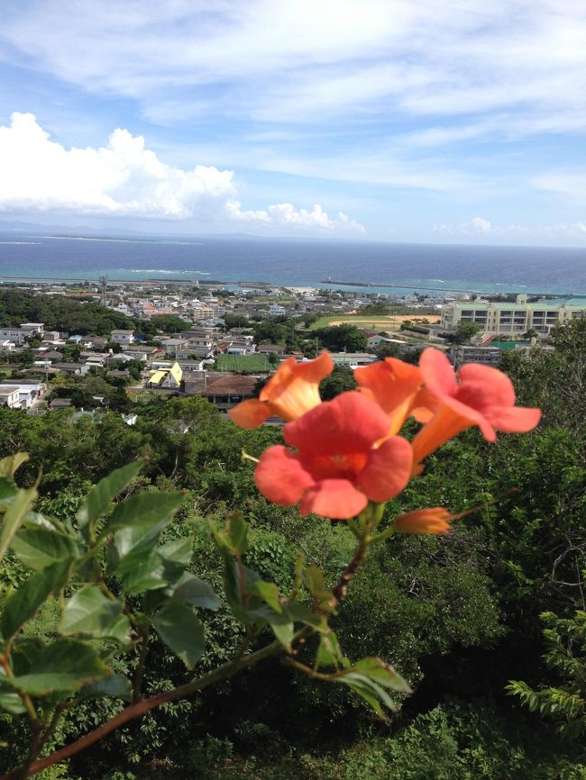 前から行きたかった近くて遠い離島、伊江島に行ってきました。<br />目的は地形ダイビングです！！<br /><br />１日目は午後便で那覇入りし、高速バスで名護バスセンターへ。<br />名護のゆがふいんに宿泊しました。<br />野球場が近くにあり、日本ハムファイターズがキャンプで利用するホテルのようでした。<br />明日の伊江島行きに期待を膨らませながら早めに就寝。<br /><br />翌朝、名護バスセンターから本部港まで路線バスで移動し、<br />本部港から伊江島行きのフェリーに乗船しました。<br /><br />伊江島行きのフェリーは思いの他、きれいで大きな船でした。<br />３連休の初日だったので、いかにもダイバーの人、外国の方、帰省の人など、<br />たくさんの人が乗船していました。<br /><br />快適な船に揺られ、３０分程で伊江島に着きました。<br /><br />今回お世話になったダイビングサービスは、「TAIYOU MARINE」さん。<br /><br />ダイビングポイントは北側の地形ポイントと南側の砂地ポイントに分かれています。<br />天候次第で、北側に潜れないこと、その反対もあるようです。<br />北側狙いならやはり夏ですね。<br />今回は北側メインで潜らせていただきました。<br /><br />光が差し込むと地形ポイントはホントに綺麗で幻想的でした。<br />地形だけでなく、マクロも充実していたように思います。<br />普段はあきらめて撮影しない、ピグミーやカエルウオも撮らせてもらえました。<br /><br />ポイントが港から近いのでダイビング後の時間にも余裕があり、のんびり好きに過ごせます。<br />私は伊江島のシンボル、城山（ぐすく山）に登りました。<br />暑い中かなり急な山道を登るのは、ダイビングで疲れた体にはかなりこたえました。。<br />それでも、山頂からの３６０度のパノラマ景色は最高でした！！<br /><br />お世話になった民宿かりゆしさんは、アットホームな民宿で夕食がとても美味しかったです。<br />洗濯機が２台あるので、洗濯をしたい人には便利です。<br />私が泊まった部屋からは城山や海が見ることができ、のんびりできます。<br /><br />最終日、チェックアウト後にシャワーを使わせてもらうこともできました。<br />３本潜ってからシャワーを浴び、最終便フェリーで伊江島を後にしました。<br /><br />岐路は伊江島→本部港→那覇港と船旅を選択しました。<br />本部港→那覇港は所要時間、約２時間で値段は２０００円くらいです。<br />バス移動と比べて時間も値段も変わらないのですが、<br />船の方がバスより解放感があって私は好きです。<br /><br />鹿児島から本部港を経由して那覇港に行く船なので、かなり大きな船でした。<br />初めて乗る大型船にテンションが上がり、デッキで瀬底大橋が遠ざかるのをずっと見守っていました。<br />海風にあたりながら心地のよい時間でした。<br /><br />那覇に着く頃には日も落ち、楽しい旅も終りを迎えました。<br /><br /><br />近くて遠い伊江島、近くて遠いからこそ旅の行程まで楽しめたような気がします。<br /><br />島には離島特有のゆっくりした時間が流れていました。<br />大好きなダイビングを楽しみ、のんびり過ごせた楽しい旅でした。<br /><br />