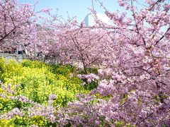 松田町☆まつだ桜まつり’12