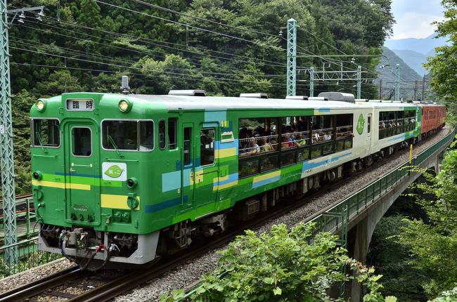 JR上越線の越後湯沢駅〜水上駅間にて、オープンデッキ車両である臨時快速「風っこループ号」、「風っこもぐら号」が運転されました。<br />この列車に乗って、新潟と群馬の県境にある大トンネルの中を直に感じることが出来る、トロッコ列車の旅を満喫しました。