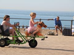 初ベルギー　⑥北海の港、そしてビーチリゾートで賑わうオステンド