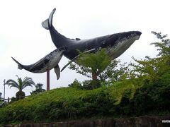 伊勢神宮から海沿いをドライブ、もう少しで潮岬