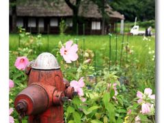 Solitary Journey ［1085］ 夏の車旅⑥ ～小さな小さな世界遺産の村～＜越中五箇山菅沼集落＆合掌の里＞富山県南砺市菅沼