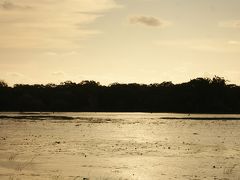 スリランカ１カ月の旅へいざ出発 ③ ー ウィルパットゥ国立公園( Wilpattu National Park ) を訪ねて