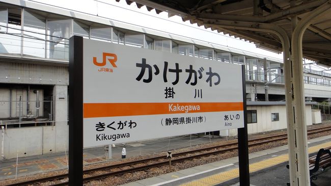 　愛知県から、静岡県へと、進みます。<br />　豊橋を過ぎると、快速とかがなくなって、まじにローカル線で、進んでいくんですね。<br />　豊橋〜浜松、浜松〜静岡、とひと区間で、30分から40分ぐらいかかります。<br /><br />　このエリアは、人口も多いので、たとえ一本乗り遅れても、15分ぐらいで次の列車がきますが、以前、仙台から岩手まで、ローカル線で移動したことがありますが、乗り継ぎ時間が10分もないのに、驚きました。しかも、万が一乗り遅れたら、次の電車は、２時間後だったりするんですよね。<br /><br />　しかも、ローカル線は、ある一定区間で折り返すことが多いため、同じ方向へと進んでいく次の電車は、ひとつ向こうのホームから出ることが多くなります。そして、今回も痛感しましたが、乗り継ぎ時間が短いんですよね。<br />　乗客はというと、青春18切符というより、78切符じゃないの、とつっこみたくなるほど、中高年の方の利用が多いです。昨日は、私も、ちょっと若返ったような気分に浸れてしまうぐらい、多くの中高年の方がおられました。<br /><br />　その方々が、乗り継ぎの時は、ドアで殺気だって、ダッシュして、階段を駆け上り、次の列車へと急がれるんですよね。<br />しかし、トイレの近い私は苦労します。乗り継ぎが10分前後だと、駅のトイレに行く時間がギリギリです。ローカル線は、車内にトイレがあることもありますが、ないこともあり、また、トイレの位置が、後ろにあるのか前にあるのか、わからないんですよね。<br />　車内がすいておれば、楽に移動ができますが、混んでいたりすると、なかなかトイレに行けたもんではありません。<br /><br />　というわけで、ローカル線ののんびりした旅をイメージするなら、もう少し、乗り継ぎ時間にゆとりを持たせてほしいと思うのですが、日本人のDNAでは、10分前後の乗り継ぎが、指示されるのでしょうか。