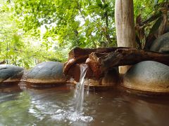 温泉旅館・銀婚湯で庭園散策と隠し湯めぐり★どんぐりの湯でリベンジを果たす！