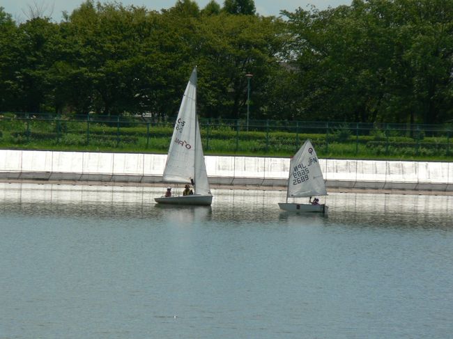 兵庫県伊丹市の瑞ヶ池公園（ずがいけこうえん）は市民の水がめ（貯水池）で広さは１９．３ヘクタールあり、池の周囲は１６キロのトリムランニングコースになっている。公園の周囲は桜の名所で、南側には四季の花が咲く花壇、幼児向けの遊具なども設けられている。昆陽池公園と緑ケ丘公園の間に位置し、伊丹緑地を経て中心市街地に至る水と緑のネットワークの一つに挙げられている。<br />兵庫県川西市の川西市立スポーツ施設東久代（ひがしくしろ）運動公園は野球場、球技場、テニスコートなどのスポーツ施設を持つ公園。猪名川河川敷にあるスポーツ公園でＪＲ北伊丹駅から東へ徒歩約１０分で行ける便利な場所にあり、市民に親しまれている。<br />（写真は瑞ヶ池公園）<br />