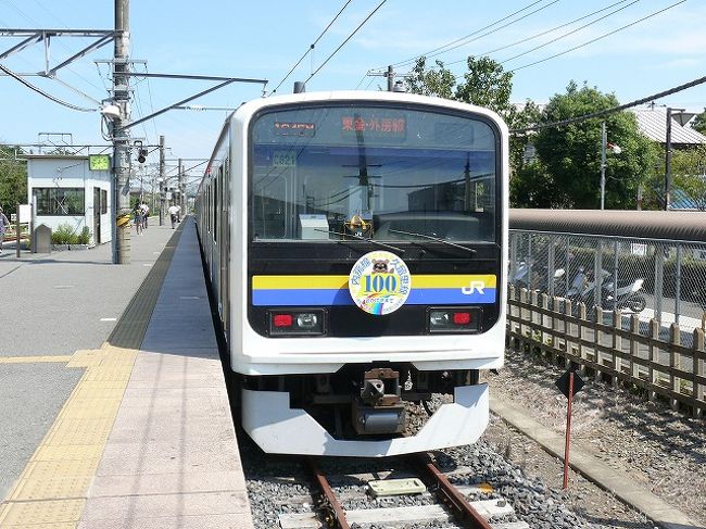 ここの路線は千葉を大きくぐる〜と回る鉄道マニアでなければ地元の人意外はほとんど使わないだろうというところです<br /><br />区間も大網と成東の間には駅が3つと特に観光地というべきところもないのでさら〜と流して来ました<br />