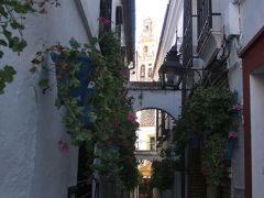 ポルトガルとスペインプラスちょっとだけフランス12日間の旅(7)　花の小路　コルドバ