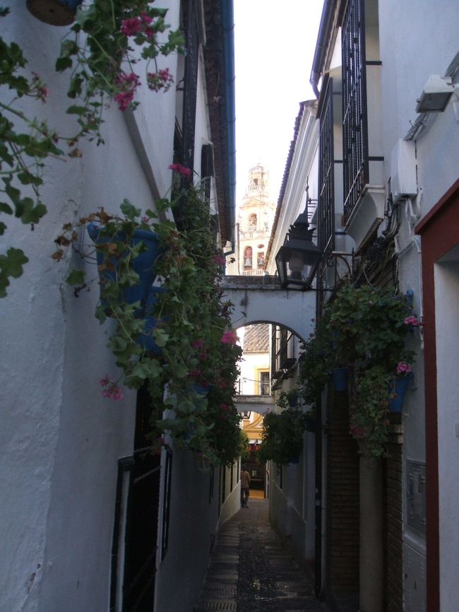 ポルトガルとスペインプラスちょっとだけフランス12日間の旅(7)　花の小路　コルドバ