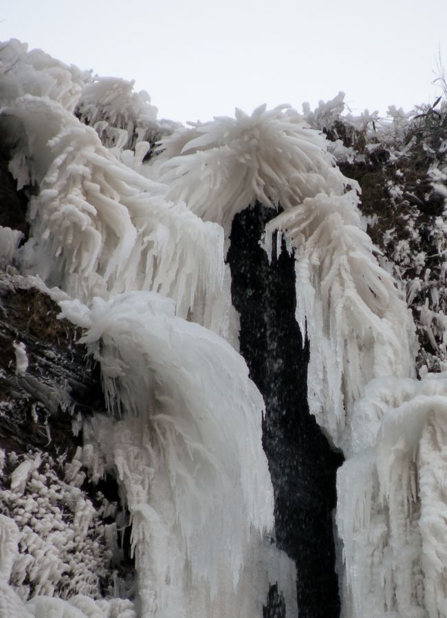 第二部<br />①白糸の滝<br />②下城の滝<br />③古賀の滝<br />④鍋が滝<br />⑤遊水峡<br />の冬の顔を見てきました。凍結した「滝」も今回初めての体験で、とても神秘的でした。とくに古賀の滝は迫力満点で遠くからでもその氷具合が分かります。滑らないよう足元にはくれぐれも注意を。