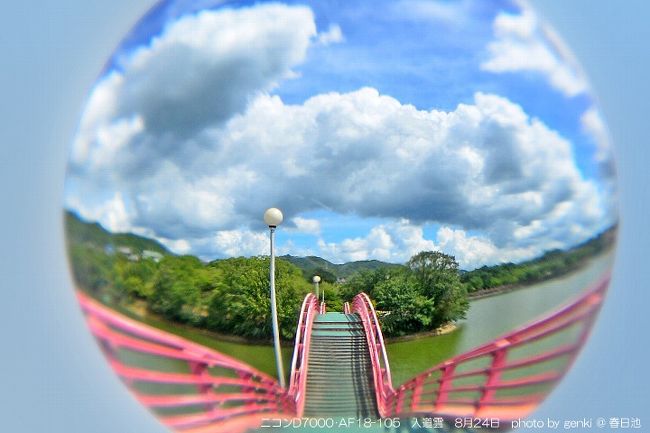 市民憩いの公園、真夏の風景、入道雲です。<br /><br />詳細はgenkiのデジタル写真館　http://www.yutolife.com/user/HP/index.jsp?70　で