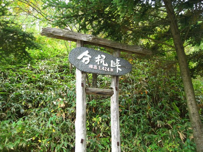 　日本三大パワースポットとは<br /><br />　静岡県　富士山・　（活火山・断層地帯）<br />　長野県　分杭峠・　（ゼロ地場地帯）<br />　石川県　聖域の岬・（大気の融合地帯）<br /><br />　を指します。今回最後の分杭峠へ行ったことで日本三大パワースポット完全制覇と成りました。<br /><br />　ちなみに、分杭峠は、フォッサマグナ（中央構造線）に丁度位置します。<br /><br />　参考HPを<br />　http://bungui.fineup.net/landsat.html<br /><br />　丁度諏訪大社・・・分杭峠・・・伊勢神宮　を通過してます。それも神秘を奏でる場所と成ってます。<br /><br />　日本三大パワースポットと諏訪神社、伊勢神宮は一生に一回は行くべき神秘の場所です。<br /><br />