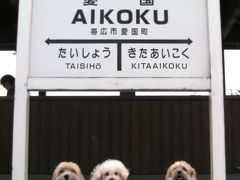 夏の北海道初めての旅　愛国～幸福