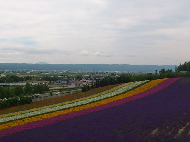 昨年（2011年）の夏から、今回の北海道・富良野を訪ねる旅を叔母たちと計画しました。<br /><br />20年ぶりに訪れた富良野は、すっかり整備されまさに観光地！<br />ちょっとビックリ！でも、花畑の規模は人口的であっても、何倍にも拡大し大変感動でした！<br /><br />7月20日に東京・羽田から女満別に入り、網走の親戚の家に2泊。その後、十勝川温泉に1泊した後に富良野入りです。<br /><br />富良野でも目的の第一は「ファーム富田」！新卒で仕事をしていた際に思い入れがあったのでぜひ今の富田さんを訪れたいと長年思っていました。<br /><br />同行は、伯母二人と伯父二人と私の5人。<br />自家用車2台での移動です。<br />富良野での1泊では美瑛の駅に降りる際に寄った日帰り温泉だけでしたが、基本1日に2回〜3回は日帰り温泉に入りながらの温泉好きツアーでした♪