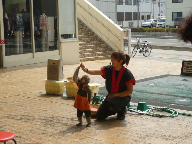 特別に旅に出なくても、日常の街歩きで、<br />ちょっとした楽しみを見つけるのが好きです。<br />用事で外出した際、駅近のショッピング・モール<br />のそばを通ったら、入り口の広場で<br />何やら人だかりが・・・。<br />見物人の輪の中にいたのは、若いおねーさんと<br />小さなお猿。<br />ここでは時々、休日などにパフォーマンスが<br />行なわれていたりするのですが、これもその一環の<br />ようです。<br /><br />「猿回し」って、日本の伝統芸能ですよね。<br />昨今は、動物愛護教会の目が厳しいけれど、<br />不当に虐待するのでなければ、こういう文化を<br />残しておくのも悪くはない、と思うのですが。<br />ど〜なのでしょうね。<br />