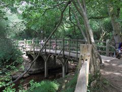プー カントリーに関する旅行記 ブログ フォートラベル イギリス Pooh Country