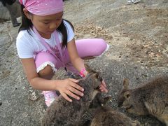 ケアンズ☆子連れ２人旅（2012年夏休み・娘９歳）⑤カニーズのランチ＆世界遺産と動物探検ツアー