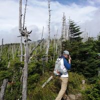 甘く見てました北八ヶ岳