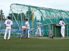 スワローズファンクラブ　試合前練習見学ツアー