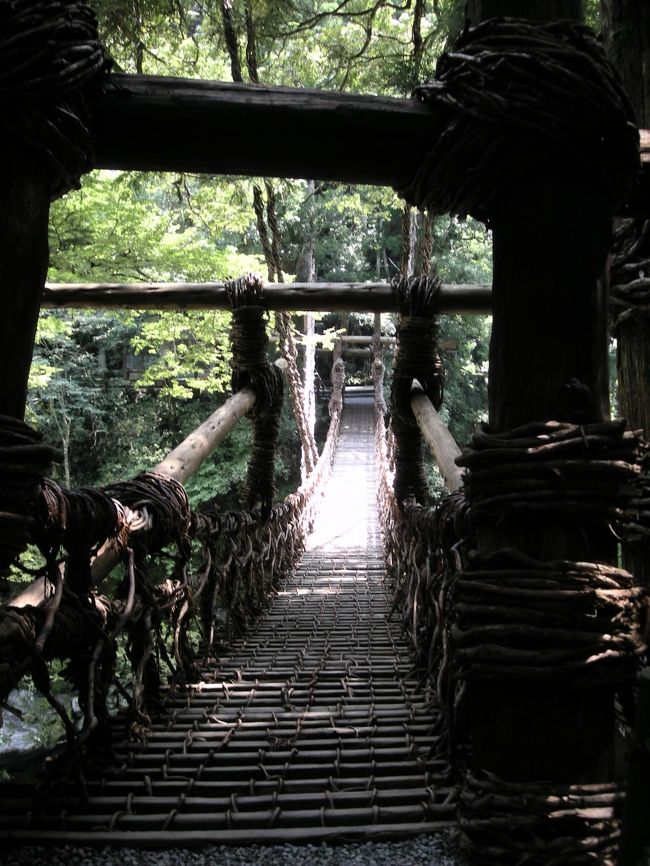 いつも旅行する時はウチが計画して行程を作るんですが、今回は仕事がバタバタで全然何処に行くか決められなくて・・・出発前日に皆が行った事のない徳島のかずら橋に行く事に決めました。<br />