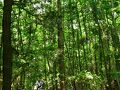 鳴沢の旅行記
