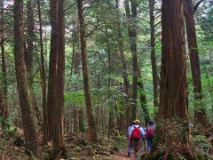 青木ヶ原樹海２　精進湖から本栖湖へ　ある歩　☆中世山城の跡もあり