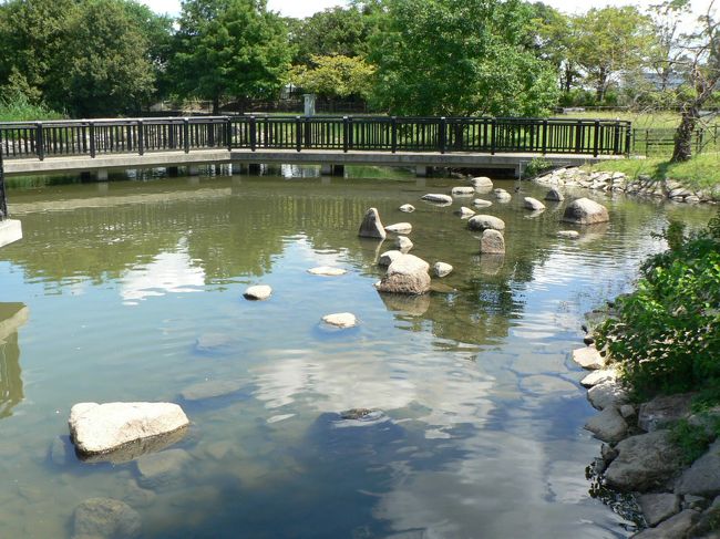 昆陽池公園（こやいけこうえん）は、兵庫県伊丹市にある都市公園で昆陽池は７３１年に行基の指導により農業用のため池として造られたもので２０１０年に農林水産省のため池百選に選定されている。<br />１９６５年に伊丹市が公園化しており白鳥が自然放養され、冬には３０００羽を越えるカモやカモメなど渡り鳥の飛来する関西屈指の野鳥の楽園として知られている。<br />池の中ほどに日本列島を模した人工島があり市民の憩いの場として親しまれており、公園にはふるさと小径、多目的広場、草生地広場、野鳥観察橋、売店、スワンホール、レストランなどがあり、家族で１日楽しめる。<br />（写真は昆陽池）<br />