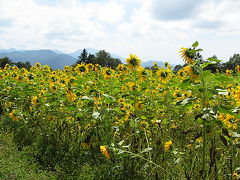 初ものづくしの八ヶ岳（３）～きっかけは南の島での出会いから～