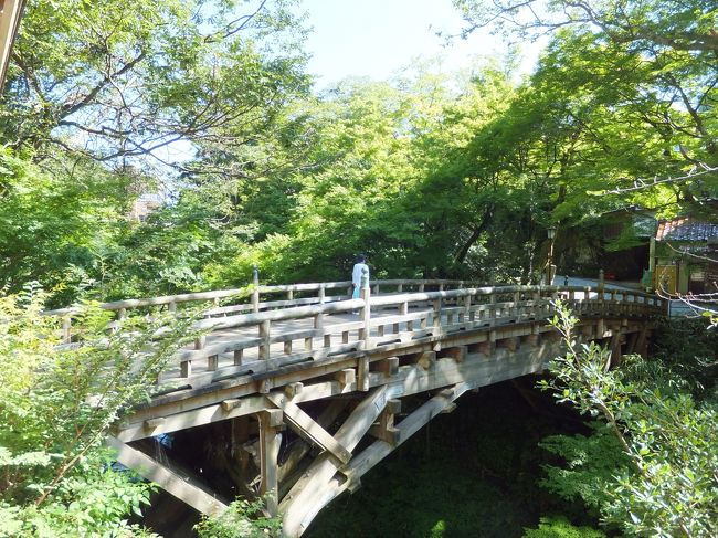 今年の夏休みは国内温泉巡り。<br />うちの会社は7月～9月の間に7日間の夏休みを取得できるので、<br />第一弾は山中温泉＆阿寒湖温泉で第二弾は熱海温泉と強羅温泉を計画。<br />まずは山中温泉へ<br />お宿は連泊で、　みやこわすれの宿　こおろぎ楼さんです。<br />こちらは客室が7室と少ないので、騒がしいの絶対嫌な私には最適でした。<br />http://www.koorogirou.jp/<br /><br />9/5（水）羽田から小松空港へ　<br />小松空港→バスにて小松駅→電車でＪＲ加賀温泉駅→路線バスにて山中温泉に到着<br /><br />黒谷橋<br />鶴仙渓遊歩道<br />　芭蕉堂<br />　あやとりはし<br />　鶴仙渓川床<br />　こおろぎ橋<br />お宿到着<br /><br />9/6（木）<br />山川温泉ゆげ街道を散策<br />道の駅<br />天狗岩<br />栢野の大杉<br />かじか橋<br /><br />9/7（金）<br />お宿→タクシーにて小松空港<br />小松空港→羽田へ一旦戻り