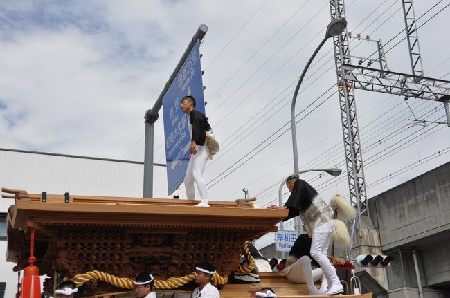 初めて観る岸和田だんじり祭り